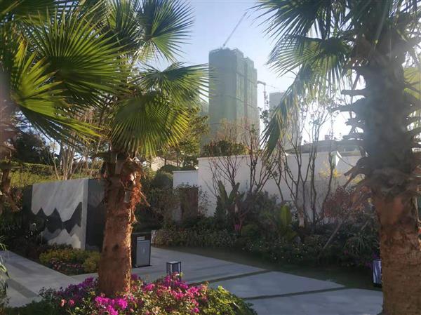 普達(dá)陽光國(guó)際康養(yǎng)度假區(qū)